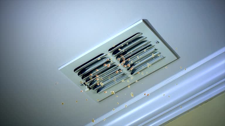 Best Ductwork Cleaning Services  in Cascade Valley, WA
