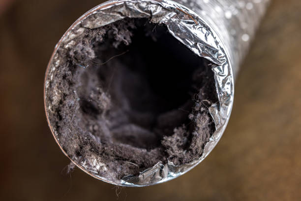 Best Commercial Air Duct Cleaning  in Cascade Valley, WA
